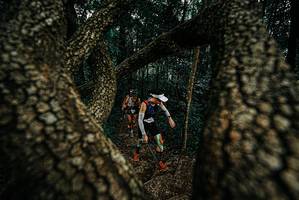 BIB: 
                            <button type="button" onclick="openModal(25675159)" class="btn btn-primary btn-sm float-right btn-popup" data-toggle="modal" data-target=".modal-high-quality">
                        <i class="fas fa-shopping-cart"></i> Add to Cart
                    </button>
                                            <button type="button" onclick="isThisMe(25675159, true)" class="btn btn-success btn-sm float-right btn-popup btn-isme hidden" data-toggle="tooltip" data-placement="bottom" title="นี่คือรูปของคุณใช่ไหม คลิกที่นี่เพื่อเอาเข้าอัลบั้ม">
                        <i class="fas fa-plus"></i> Add to album
                    </button>
                    <button type="button" onclick="isThisMe(25675159, false)" class="btn btn-warning btn-sm float-right btn-popup btn-isnotme hidden">
                        <i class="fas fa-ban"></i> Remove from album
                    </button>